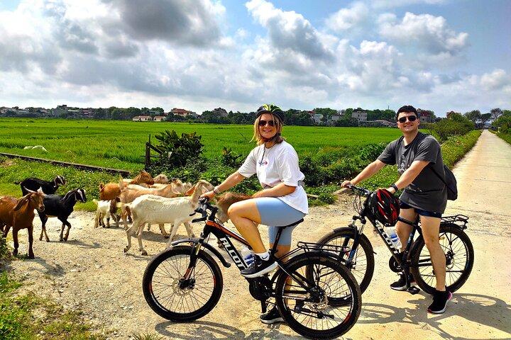 Excursion privée de luxe d'une journée: Hoa Lu, Tam Coc & Mua Grottes de Hanoi