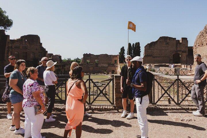 Colisée, Colline Palatine et Forum Romain Visite Guidée en Groupe