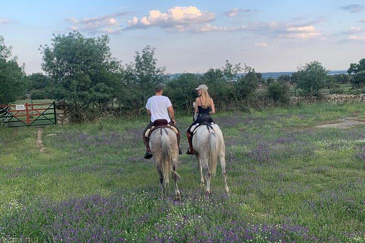 Paseo a Caballo desde Madrid
