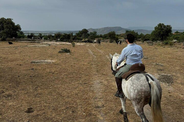 Équitation depuis Madrid