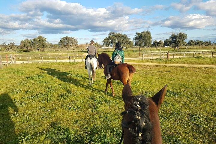 Équitation depuis Madrid