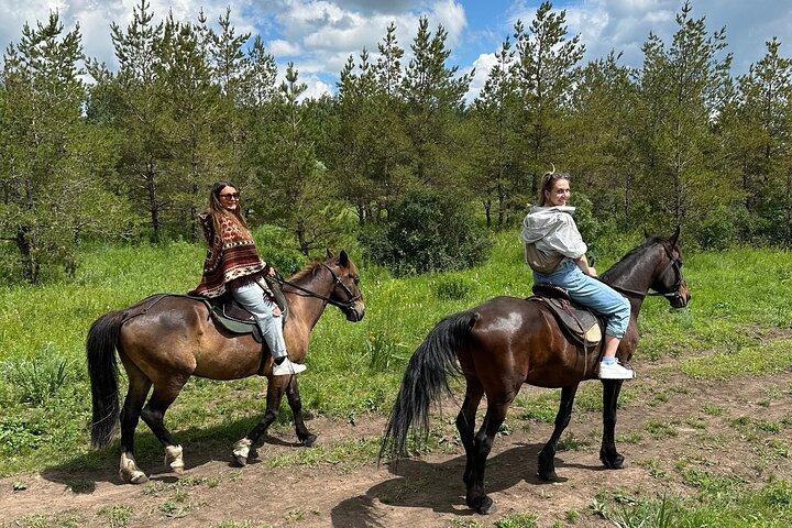 Private Yurt Tour with Horses: Immerse into Kazakh Culture