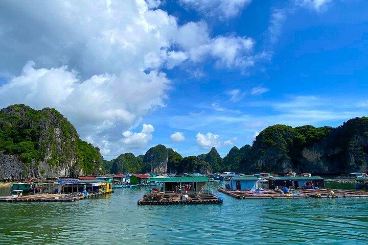 Hanoi - Cat Ba 2D1N : randonnée dans le parc national de Cat Ba et exploration de la baie de Lan Ha