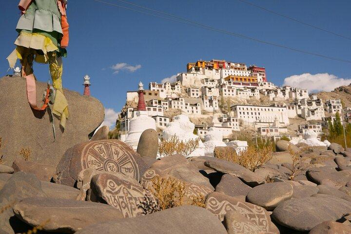Leh Monastry Halvdagstur