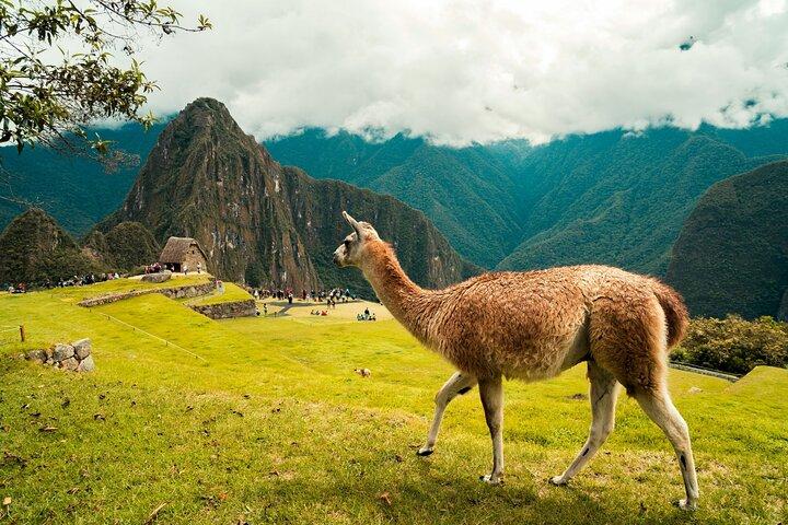 Machu Picchu-dagstur fra Cusco
