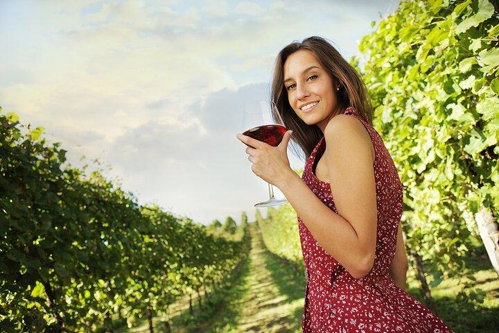 Tour privado del vino por Niágara en el lago con cena