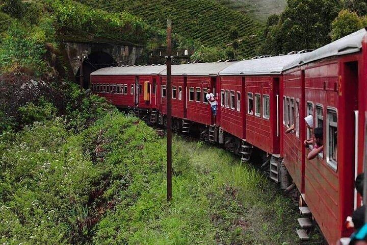 Hoteller i nærheden af Sigiriya, Kandy to Ella TRain Ride plus Up Country TEA