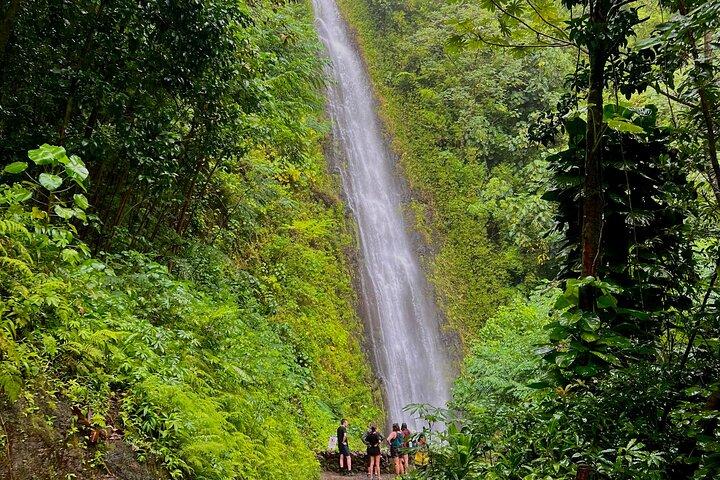 Tour privato di Oahu con pick up incluso nei resort di Ko Olina