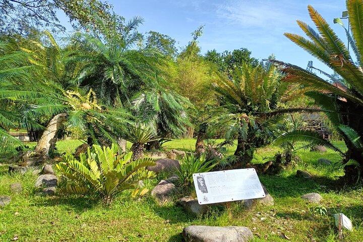 Kuala Lumpurs naturarvsvandring