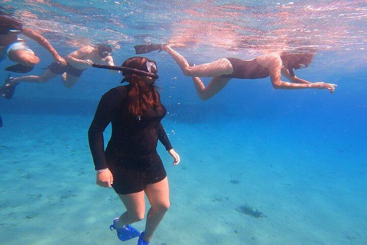 Privat snorkling äventyr med transport