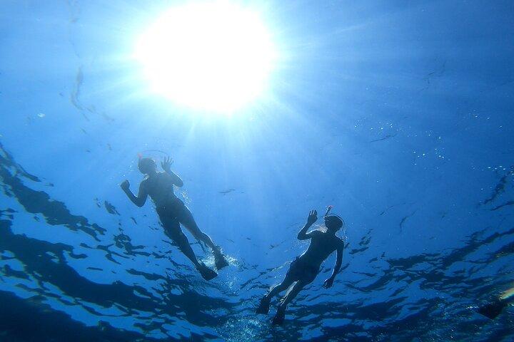 Privat snorkling äventyr med transport