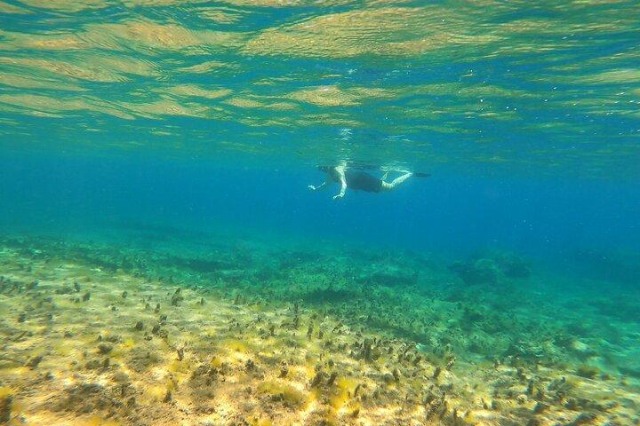 Privat snorkling äventyr med transport
