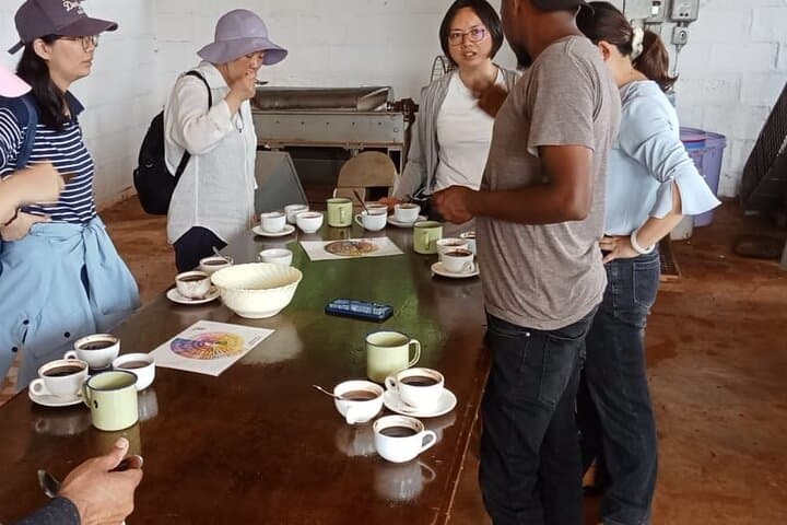 Kenyan Coffee Farm Tour