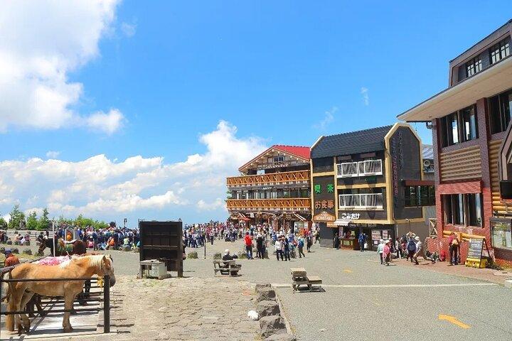 Mt. Fuji 5th.St Hakone & Gotemba Outlets with lunch from Tokyo
