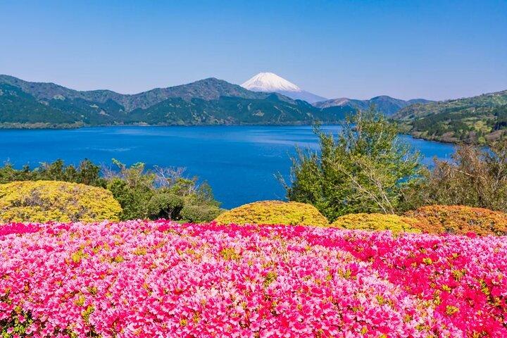 Mt. Fuji 5th.St Hakone & Gotemba Outlets with lunch from Tokyo