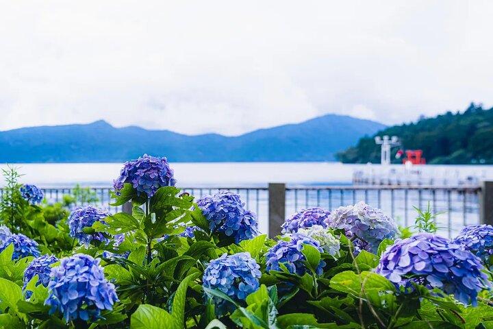 Mt. Fuji 5th.St Hakone & Gotemba Outlets with lunch from Tokyo
