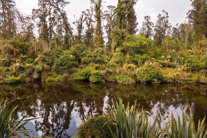 Tour de fotografia privada de 3 dias na Costa Oeste da Nova Zelândia