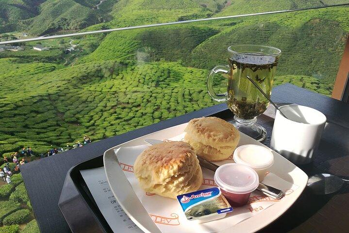 Excursion privée d'une journée dans les Cameron Highlands au départ de Kuala Lumpur
