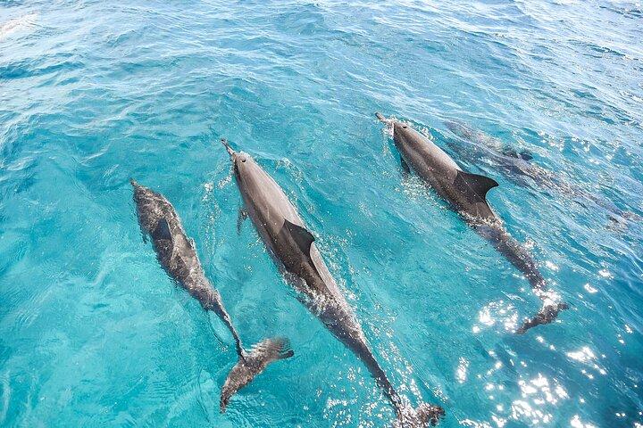 Yate al atardecer para grupos pequeños de primera categoría en Waikiki + degustación