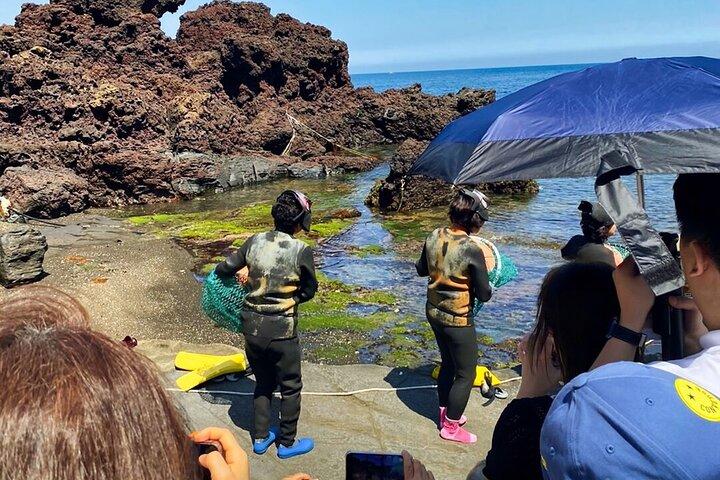 Eastern Jeju: Privat tur med alt inklusive med mandarinplukning