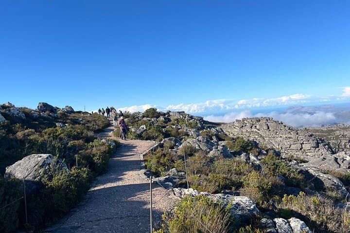 Table Mountain, Two Ocean Aquarium and Robben Island Private Tour