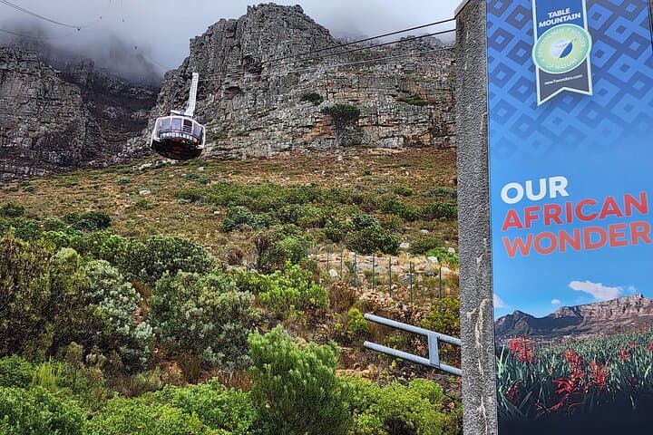 Table Mountain Kirstenbosch World of Birds,Diamond Factory incl