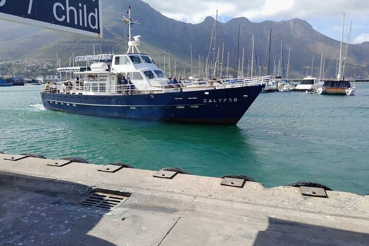 Table Mountain, Penguins, Cape of Good Hope: Private Tour