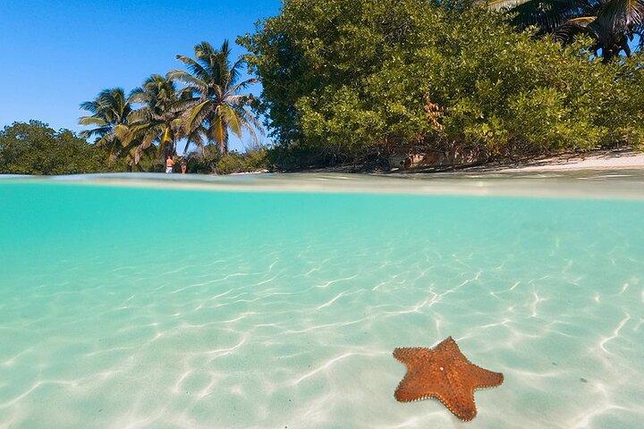Tour op Contoy Island vanuit Cancun en Isla Mujeres met Snorquel