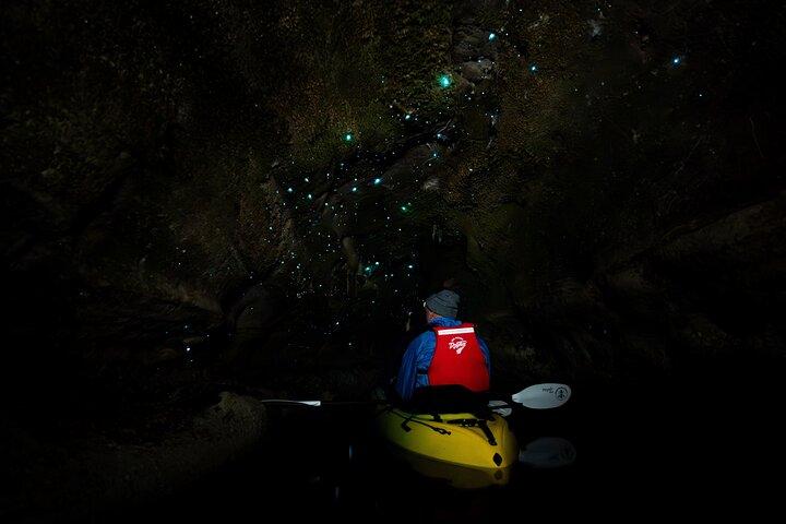 Tour in kayak del Glow Worm