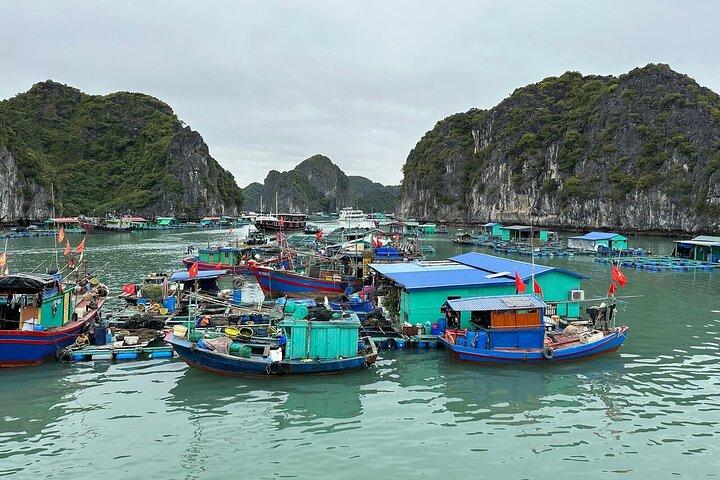 2 jours 1 nuit Explorez la baie de Lan Ha et l'île de Cat Ba depuis Hanoi
