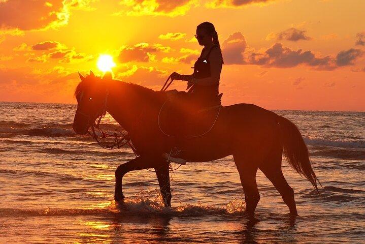 Reiten oder Kamelreiten bei Sonnenuntergang in Djerba