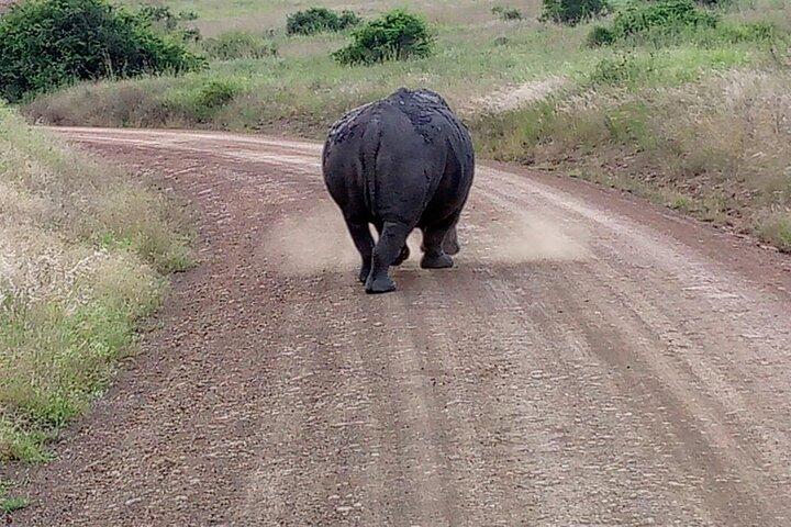 Nairobi : Nationalpark mit 4 x 4 Tour Van & Giraffe Center