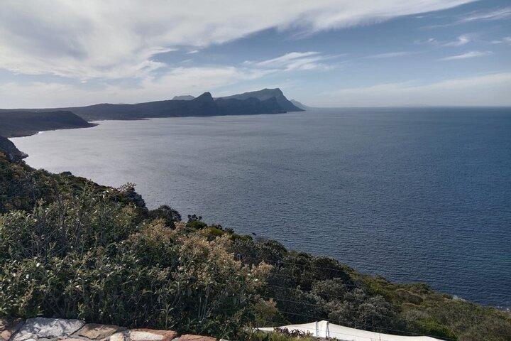 Fulddags halvø tur til Cape Point og pingviner i Cape Town