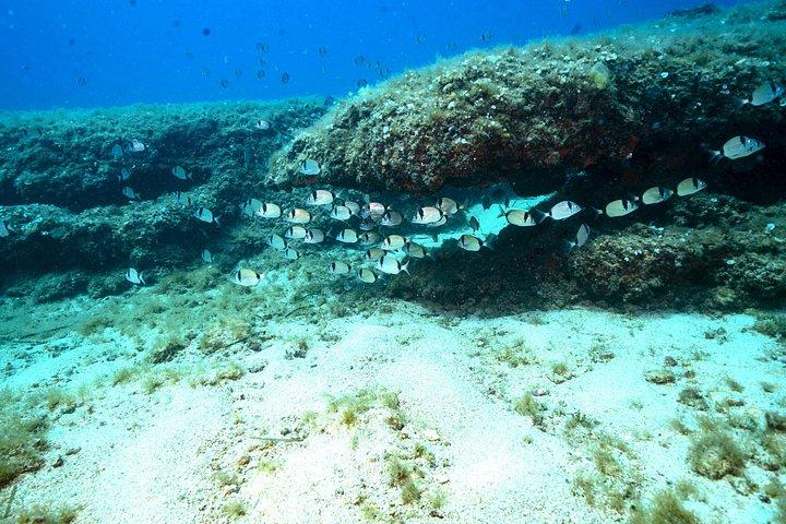 Schnorchelabenteuer in Athen