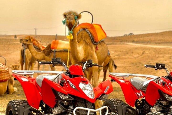 Magical Agafay Desert Sunset Camel Ride, Dinner & Live Fire Show