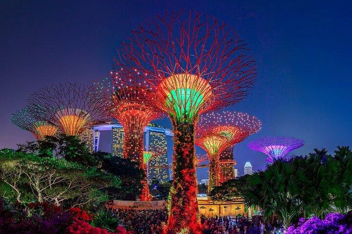 Entré E-billet til Gardens by the Bay Singapore