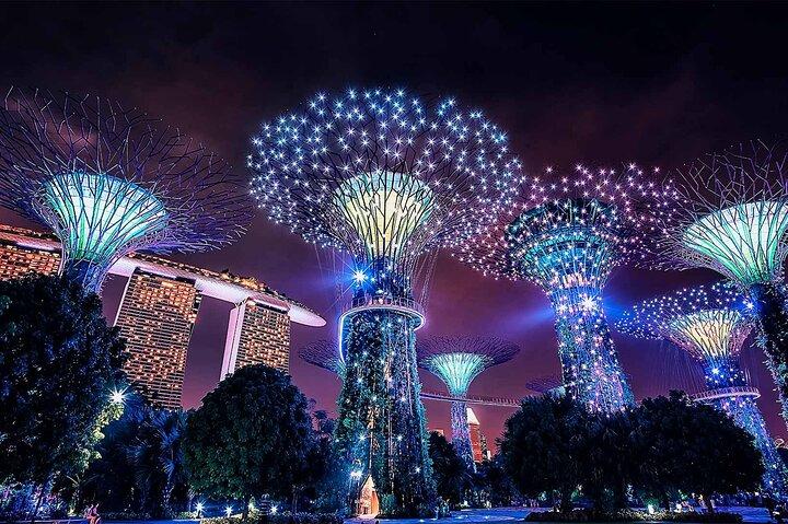 Entré E-billet til Gardens by the Bay Singapore