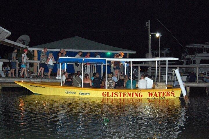 Lichtgevende Lagoon Glinsterende Wateren Tour vanuit Montego Bay Jamaica