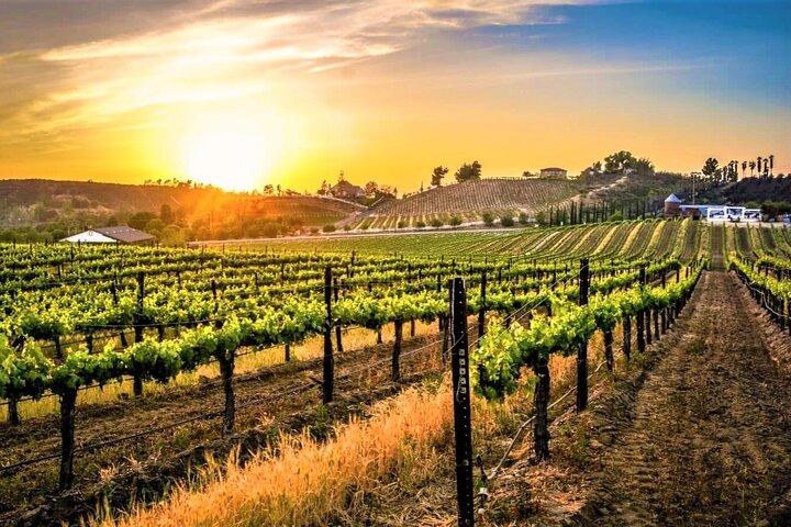 San Diego til Temecula - Wine Country tur plus Old Town Temecula