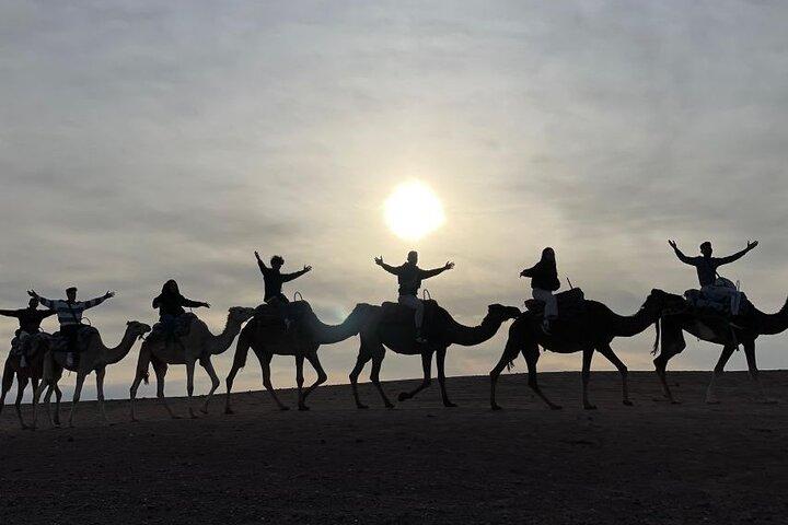 Marrakesh Desert Agafay Sunset Dinner with fire Show & Pickup