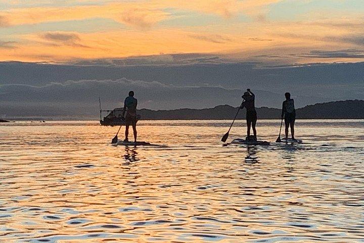 Stand up paddle or kayak tour at sunset
