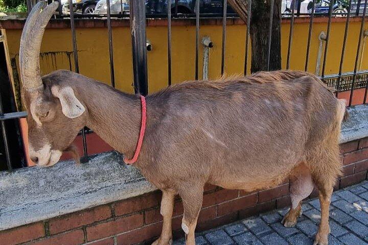 グアテマラシティツアー