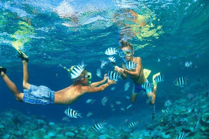 Khaolak : Phi Phi & Maya Bay Speedboat Tour com transferências e almoço