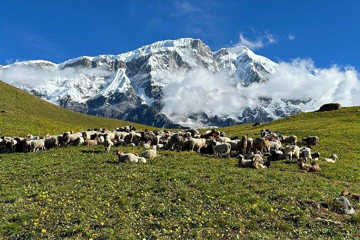 Trekking Siklesh Kori di 5 giorni