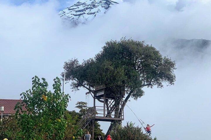 The Tree House - Tours - Swing at the End of the World - Viewpoint