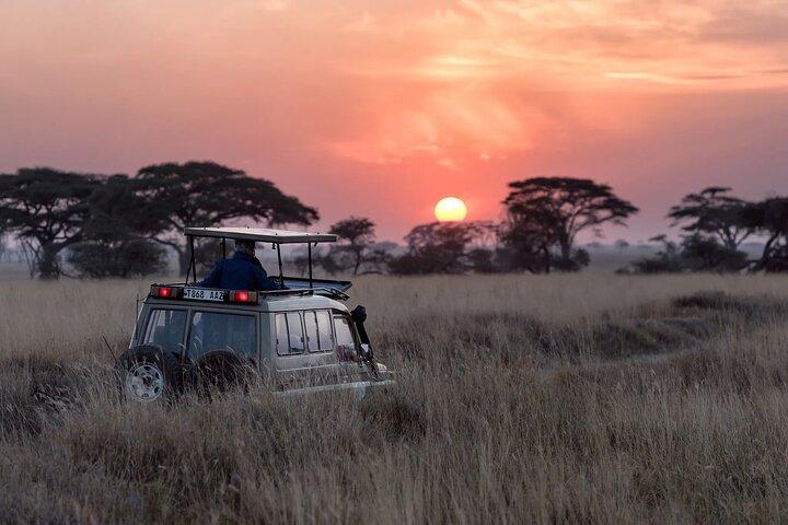 5-dages Serengeti Ngorongoro Tarangire Manyara Shared Safari Tour