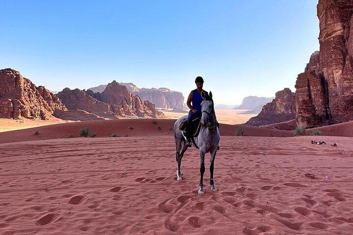 Paseo a caballo de 2 horas en Wadi Rum.
