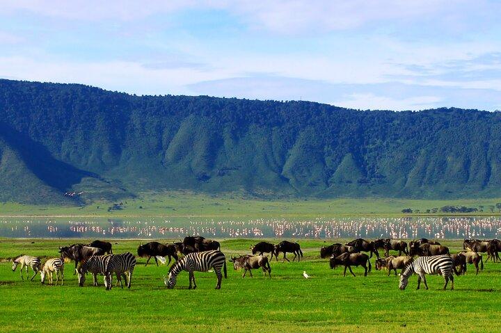5-dages overkommelig Tanzania-safari med ekstra aktiviteter