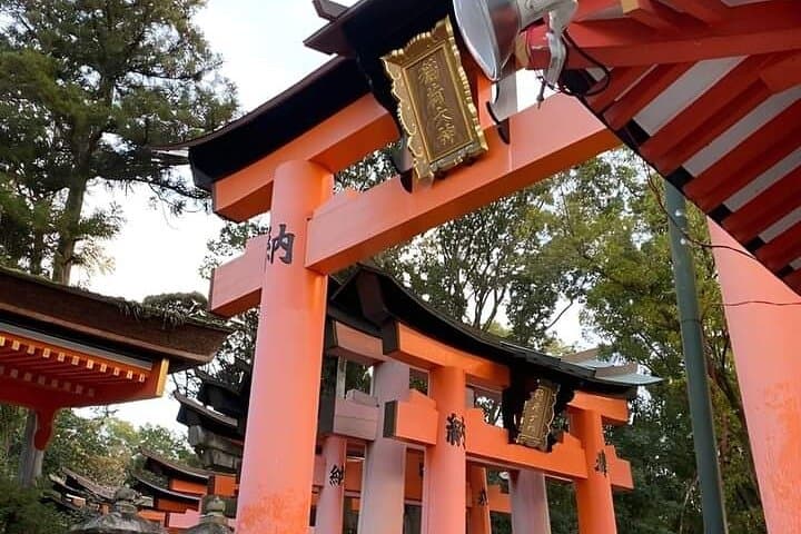 Mount Fuji Oshino Hakkai Sengen Park Sightseeing Day Tour