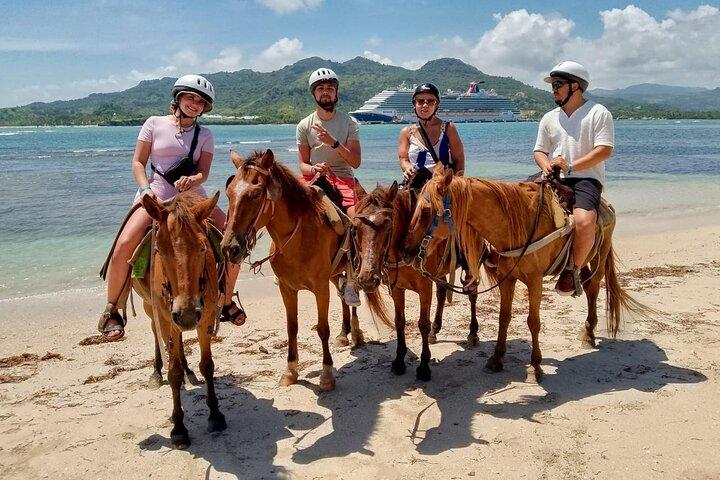 Ridning i Puerto Plata med afhentning i havn og hoteller